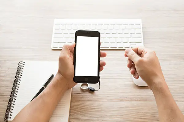 山芋叶美食教程